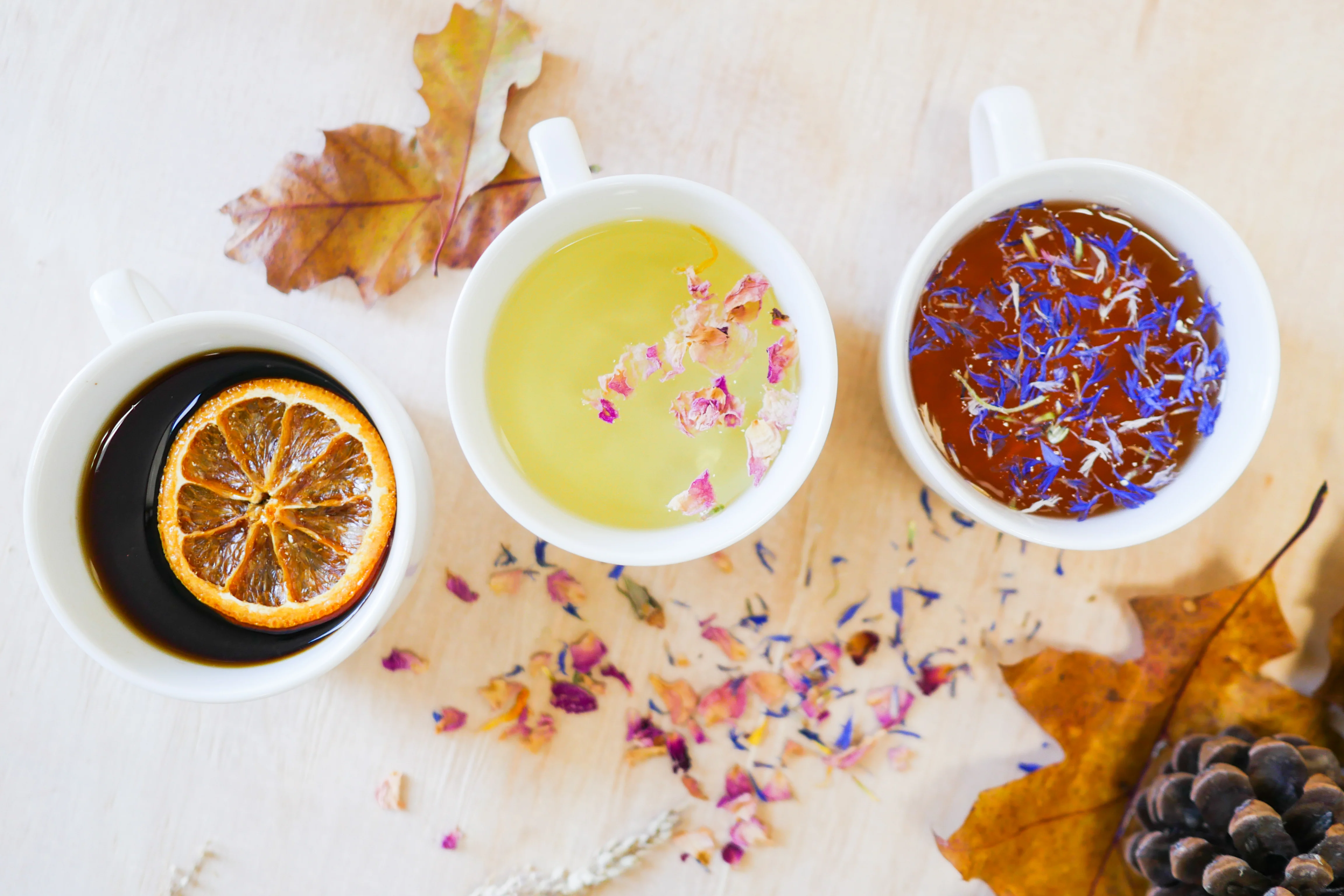 Specialty Tea Subscription (Annual, Prepaid) - Image 4